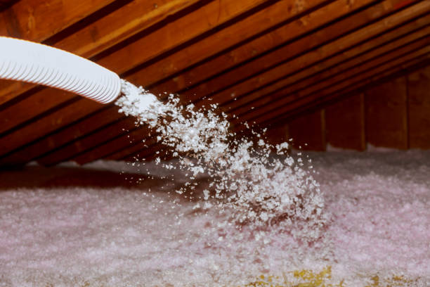 Best Blown-in Insulation in Kirby, TX
