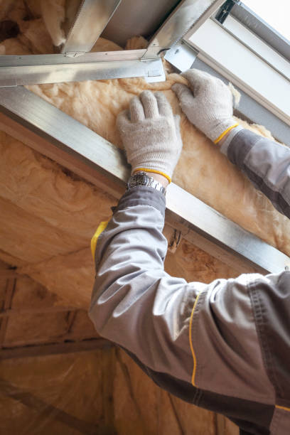 Best Spray Foam Insulation in Kirby, TX