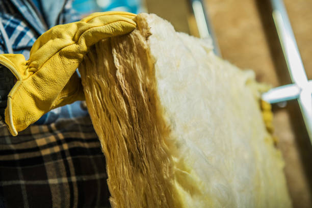 Best Specialized Insulation Services in Kirby, TX