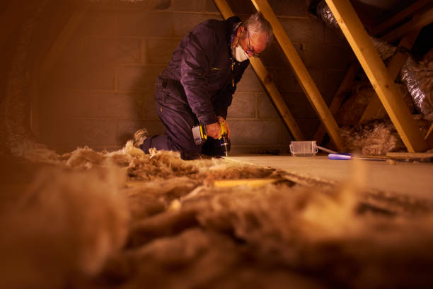 Professional Insulation Contractor in Kirby, TX